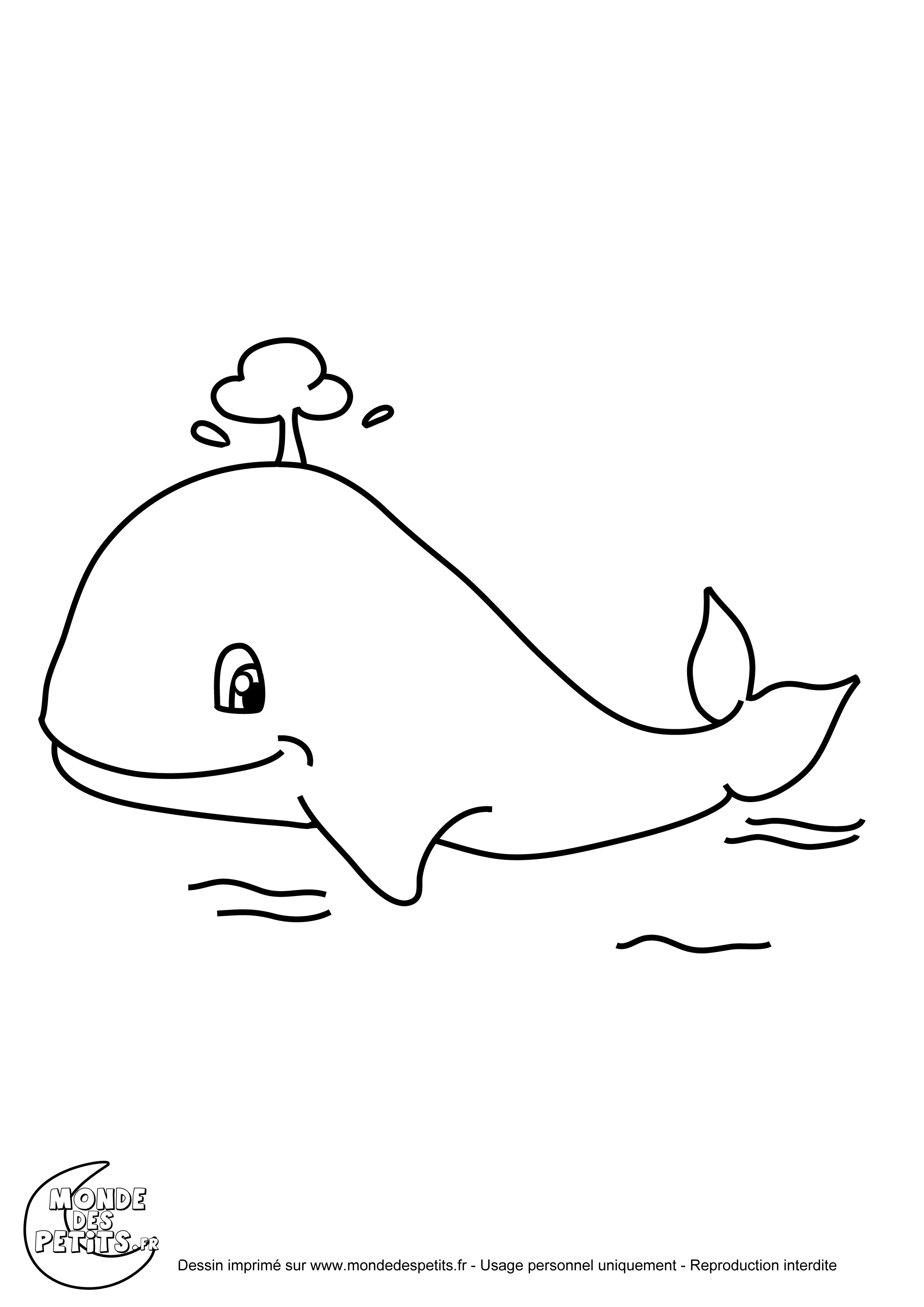 Coloriage Baleine A Imprimer