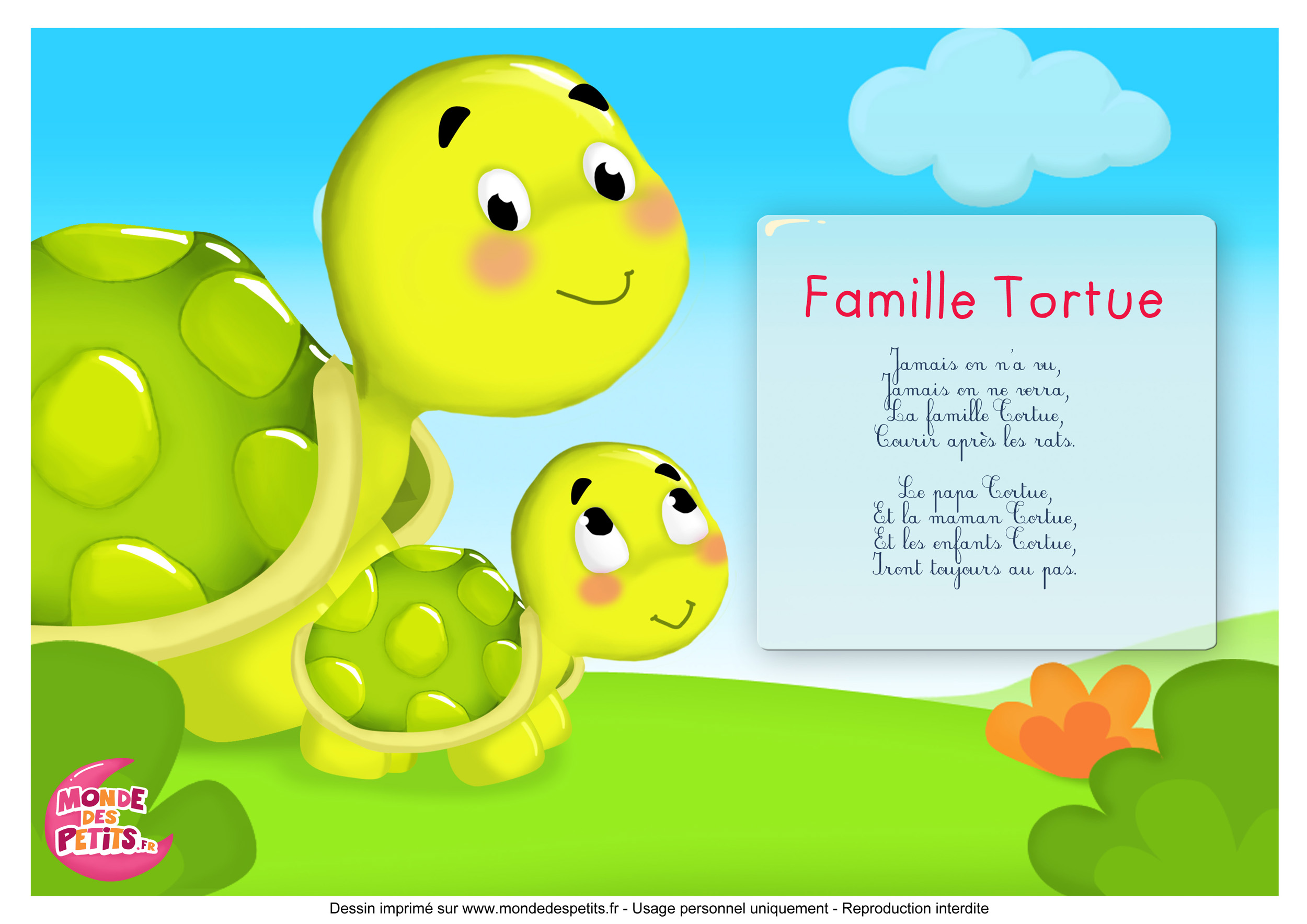 Famille Tortue