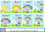 Cartes à imprimer: apprendre le corps humain en anglais