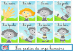 Cartes pour apprendre le corps humain en francais