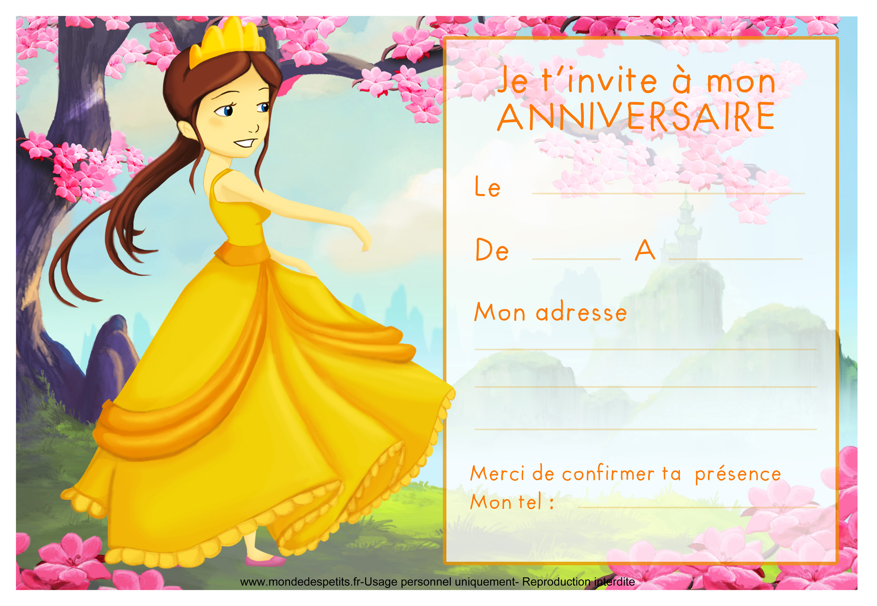 Anniversaire Raiponce : Carte d'invitation