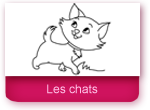 Coloriages: les chats