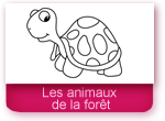 Coloriages: les animaux de la forêt