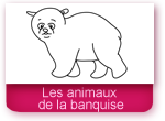 Coloriages: les animaux de la banquise