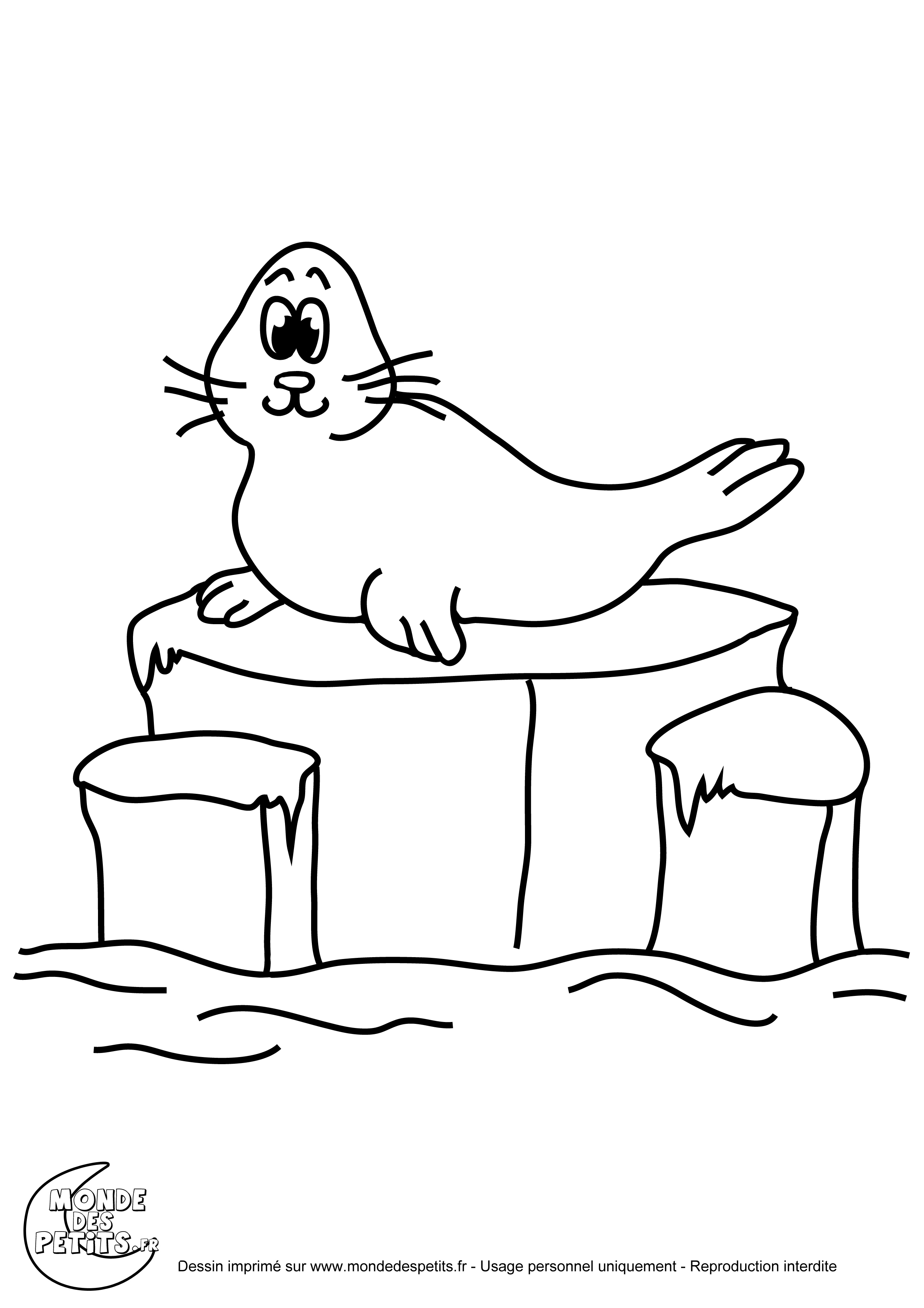 Coloriage A Imprimer Animaux De La Banquise