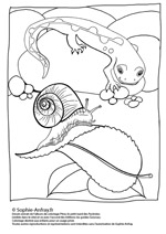 Coloriage d'escargot