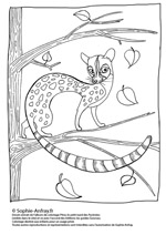 Coloriage animaux le leopard