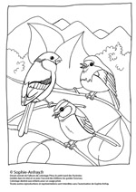 Coloriage les petits oiseaux