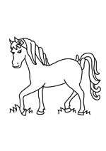 Coloriage le cheval des filles