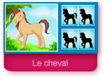 Jeu des ombres : Le cheval