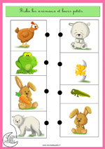 Exercice_Les animaux et leurs petits